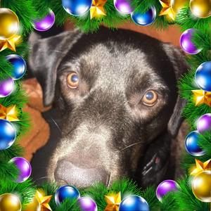 Meet your Posher, Tish